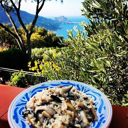 Nest Pool House Terrace Sea View *