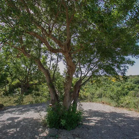 Nest Pool House Terrace Sea View *