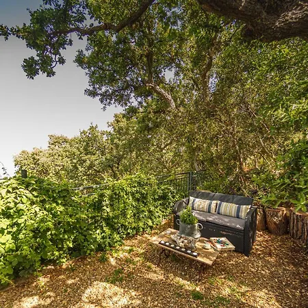 Nest Pool House Terrace Sea View Dom wakacyjny *