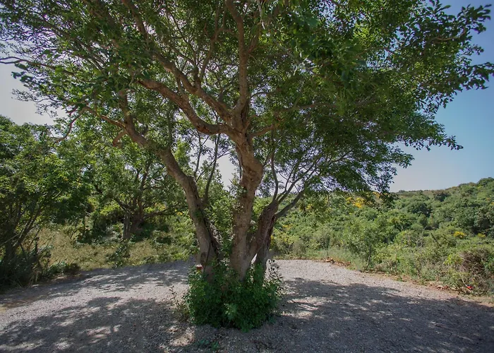 Nest Pool House Terrace Sea View *